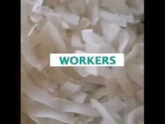 Coconut Chips Copra Dryer