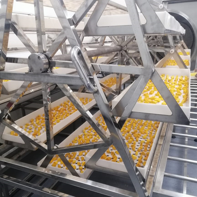 24KW Komercyjna mikrofalowa suszarka próżniowa Piekarnik do odwadniania ananasów i mango