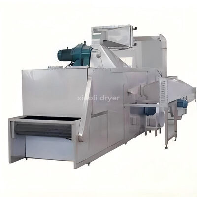 DW Series Single Layer Continuous Mesh Belt Dryer Industrial Drying Machine For Food Dehydration