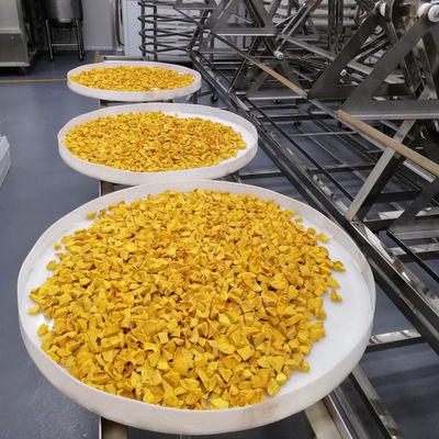 OEM ODM Przemysłowa mikrofalowa suszarka próżniowa Awokado Suszarka do owoców tropikalnych