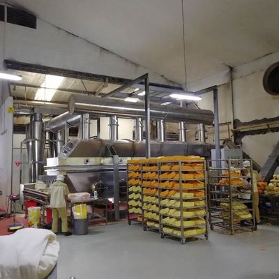 450V Pozioma wibracyjna suszarka fluidyzacyjna Chemiczny farmaceutyczny sprzęt do suszenia